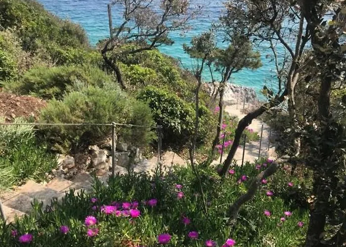 Holiday home House Contessa